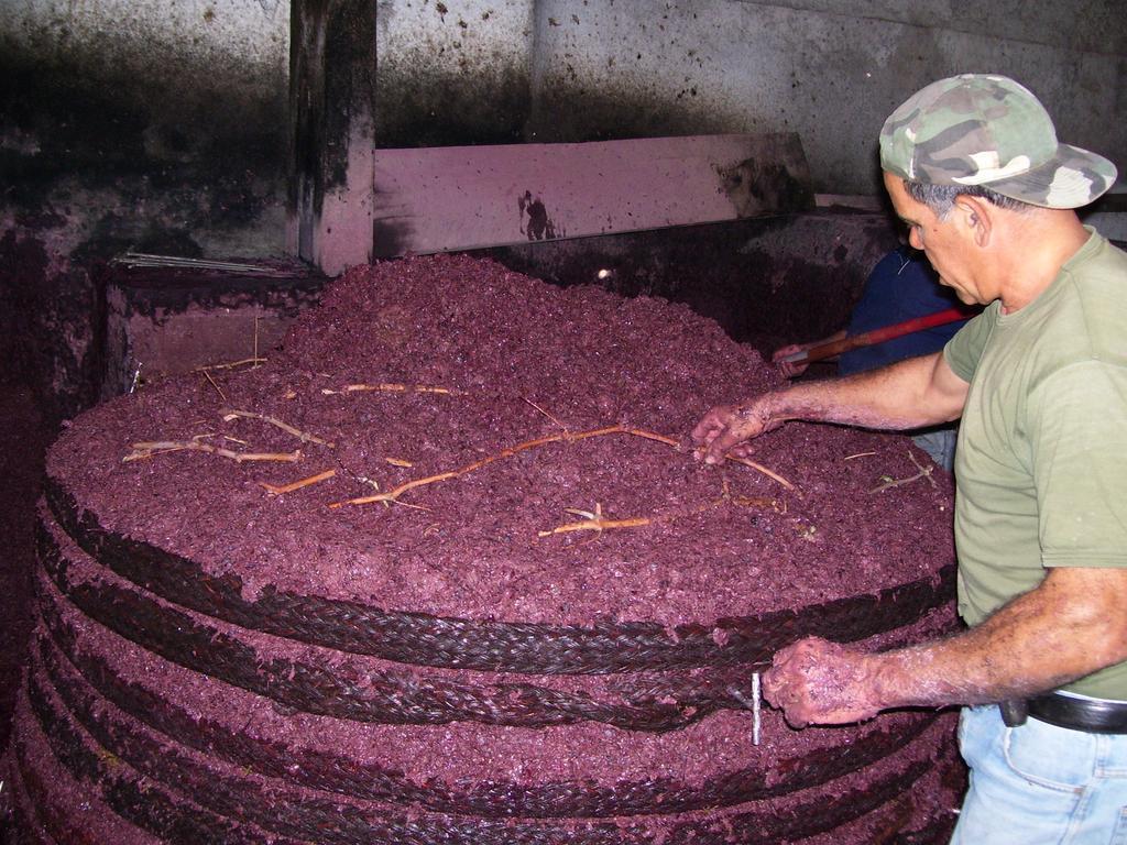 Etna Wine Azienda Agrituristica Passopisciaro Luaran gambar
