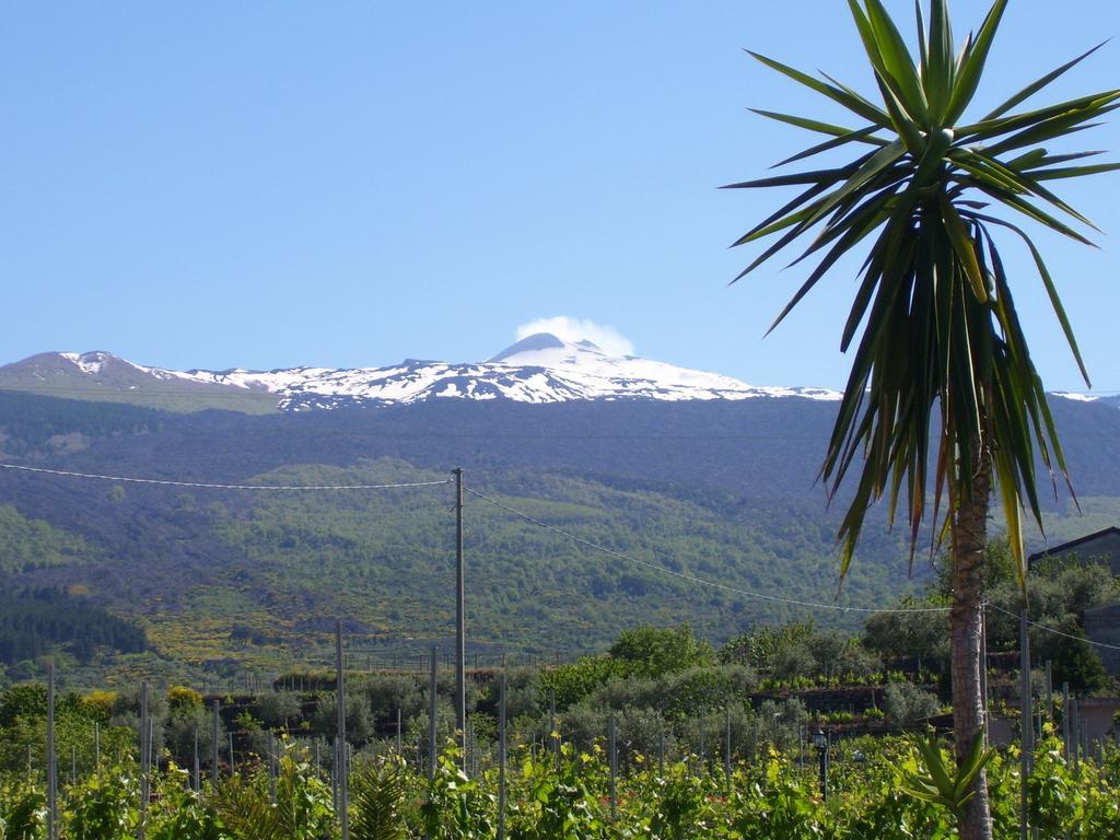 Etna Wine Azienda Agrituristica Passopisciaro Luaran gambar