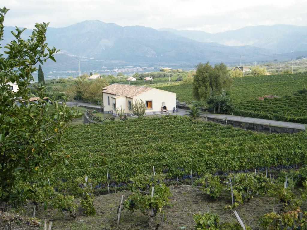 Etna Wine Azienda Agrituristica Passopisciaro Bilik gambar